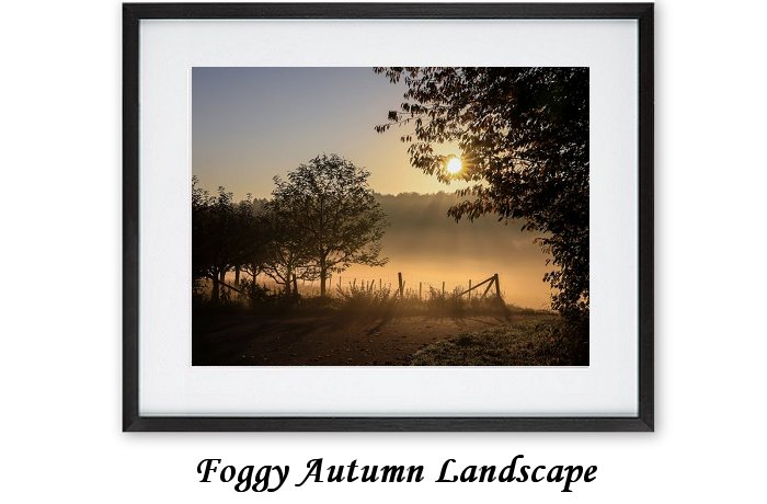 Foggy Autumn Landscape Framed Print